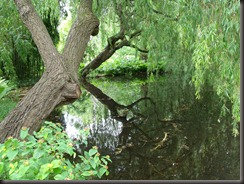DSCF0565