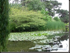 DSCF0566
